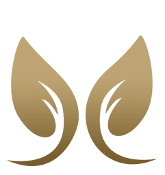 Terapia <br>Sistêmica Individual